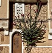 IMG_5668.jpeg
