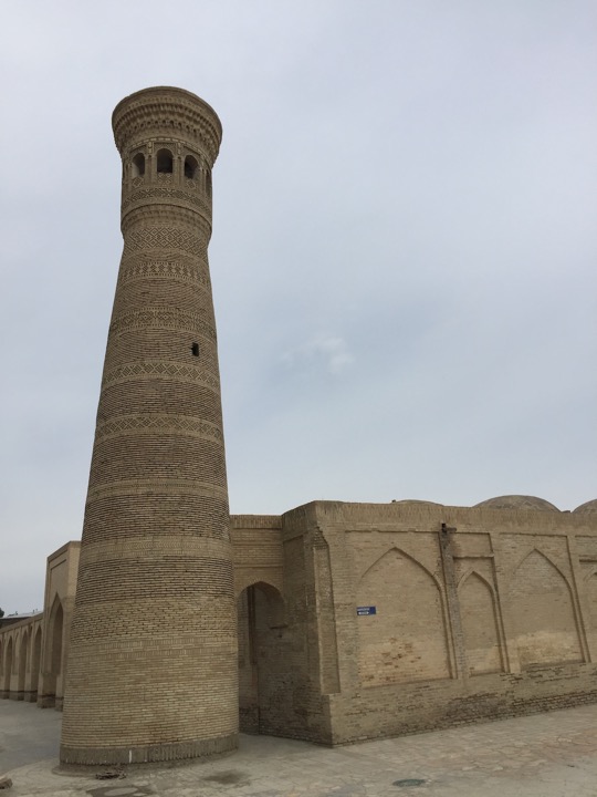 Gaukushan med., Bukhara, 05/2016