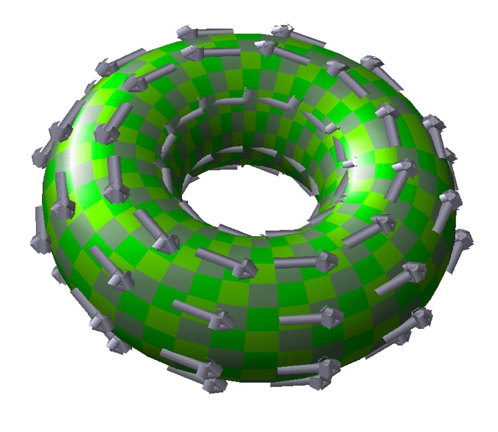 Tangent vector field on a torus