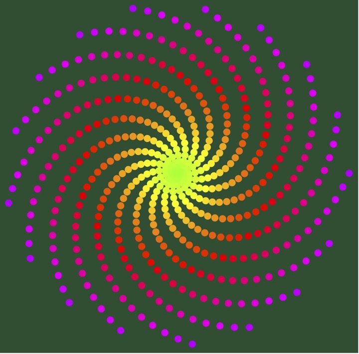 A mathematical square root of 5 sunflower