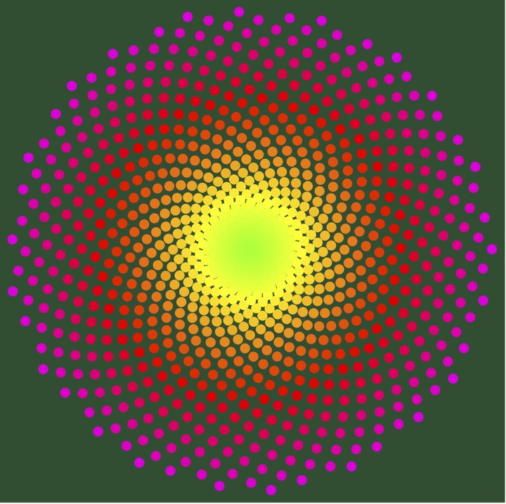 A mathematical golden ratio sunflower