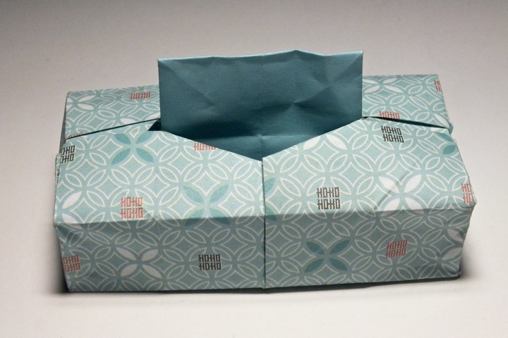 8. Facial tissue box (Naoyuki Yada)