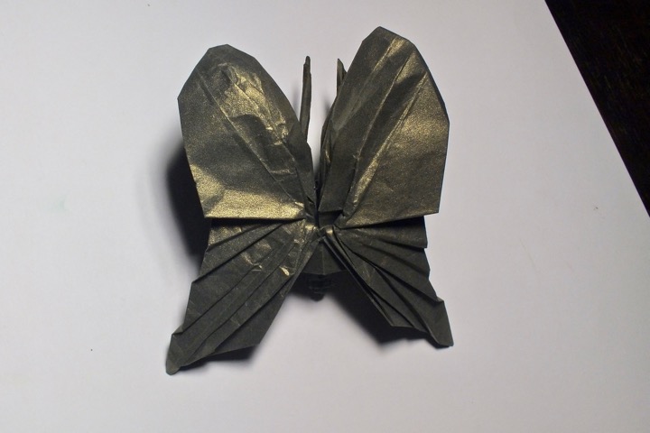 12. Butterfly (Satoshi Kamiya)