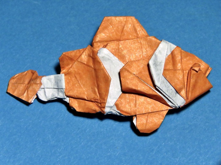 57. Clownfish (Quentin Trollip)