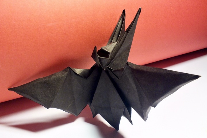 4. Long-eared bat (Sebastien Limet)