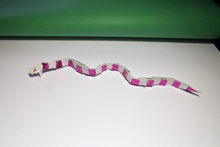 16. Snake 2015 (Gen Hagiwara)