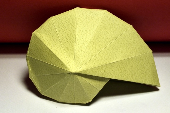 17. Solid shell, 12 segments (Tomoko Fuse)