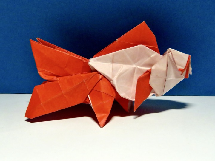 14. Jikin goldfish Ver. 1.3 (Ronald Koh)