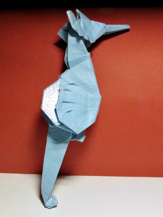 28. Seahorse (Shixiang Liu)
