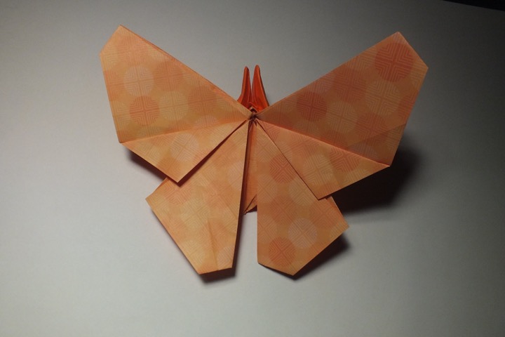 1. Butterfly (Robert J. Lang)