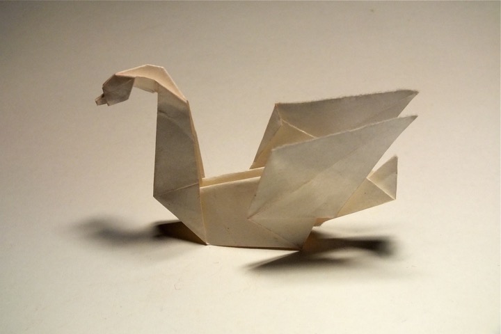 37. Swan (John French)
