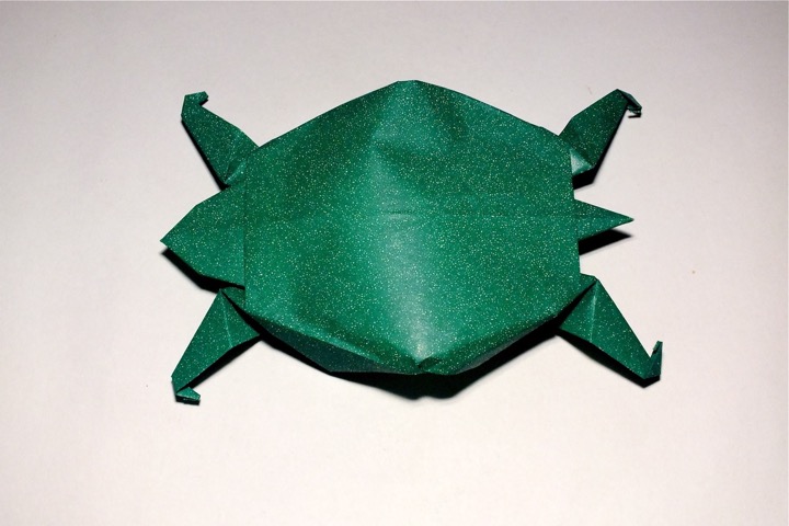 50. Turtle (Neal Elias)