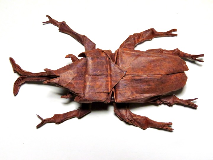 28. Samurai helmet beetle (Robert J. Lang)