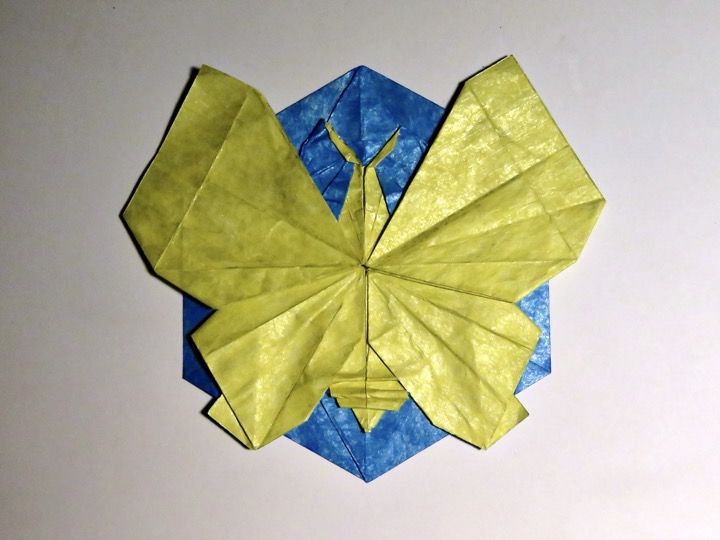 7. Butterfly badge (Mi Wu)