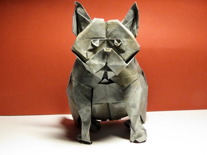 9. French bulldog (Jeong Jae Il)