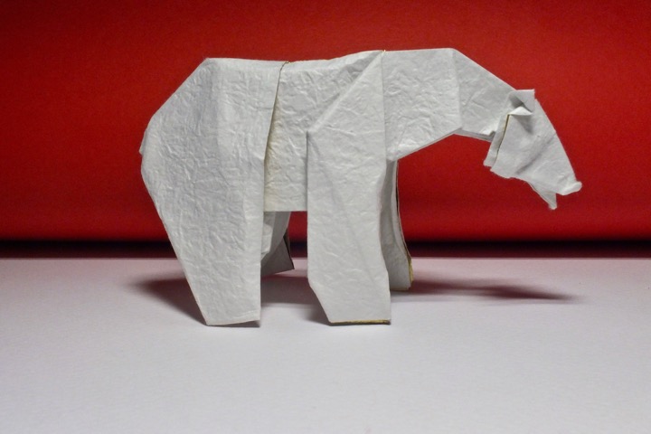 28. Polar bear (Quentin Trollip)