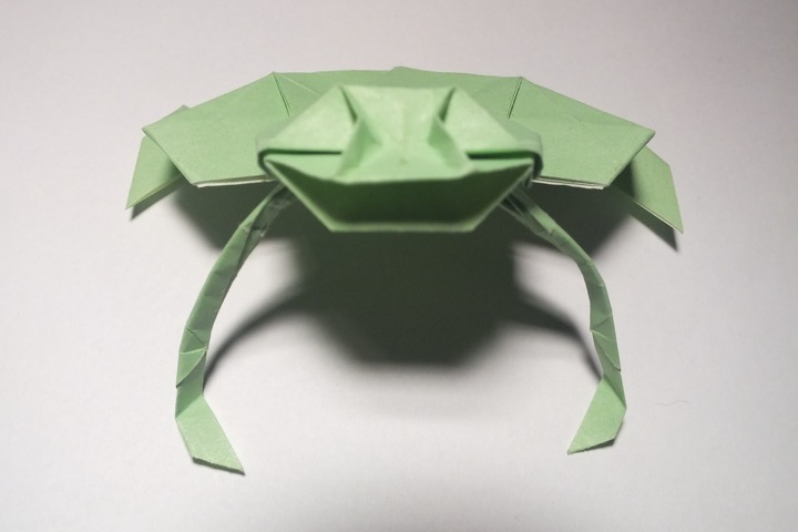 9. Frog (Stephen Weiss)