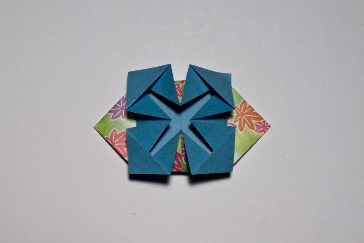 1. Paper-fastening flower (G. Merrill Gross)
