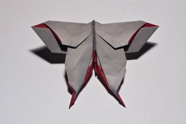 12. Mudarri luna moth (Michael LaFosse)