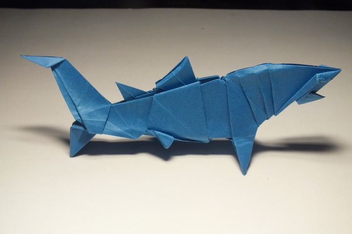 16. Blue shark (John Montroll)