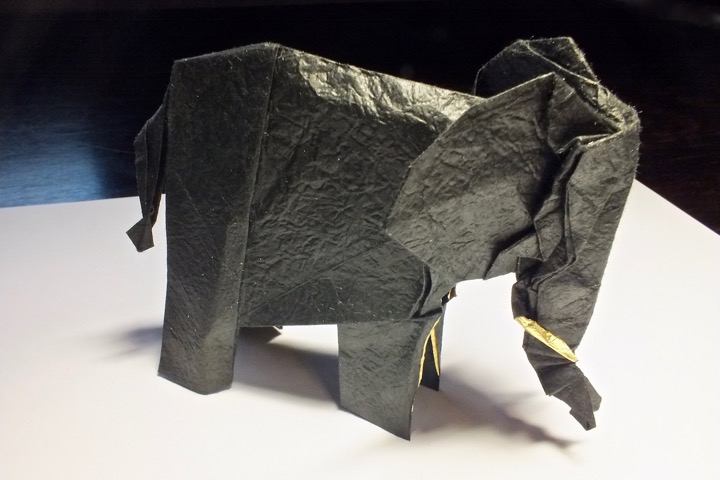 15. Elephant (Roman Diaz)
