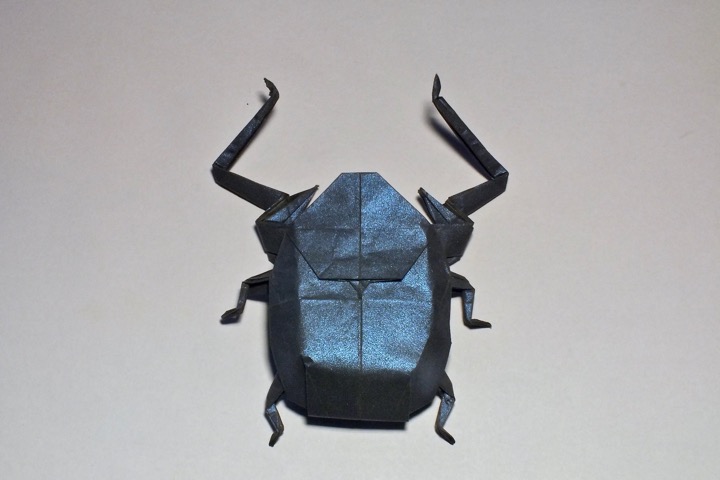 1. Jambar giant scarab (Fumiaki Kawahata)
