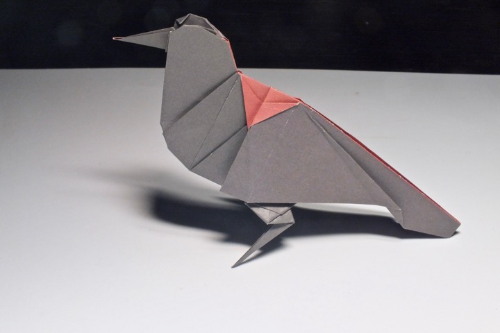 12. Red-winged blackbird (Robert J. Lang)
