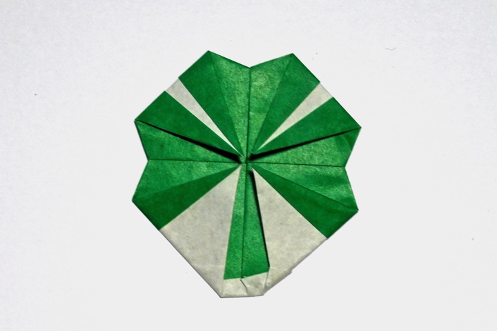 20.1. Three-leaf clover (Wendy Whitehead)