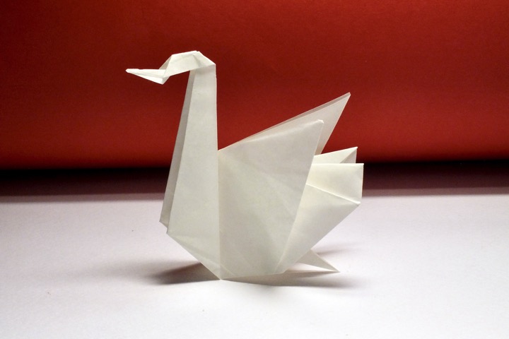 17. Swan (Ligia Montoya)