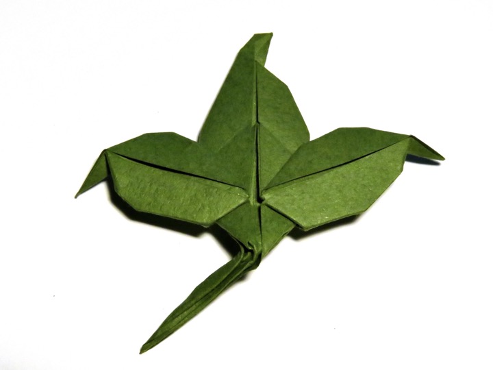 38. Leaf (Ligia Montoya)
