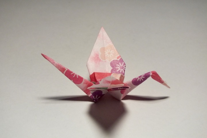 9. Crane (Traditional)
