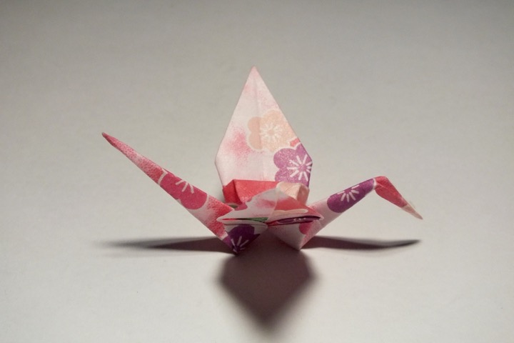 8. Crane (Traditional)