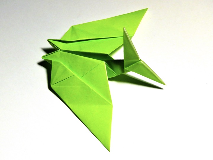 4. Pteranodon (Makoto Yamaguchi)