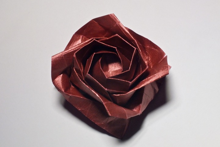 5. Rose - diagonal (T. Kawasaki)