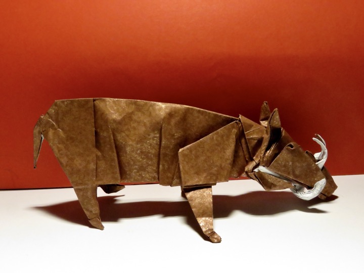 48. Babirusa (Quentin Trollip)