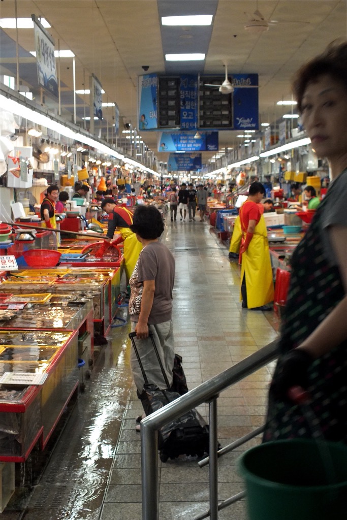 Jacalchi fish market, Busan, 08/2014