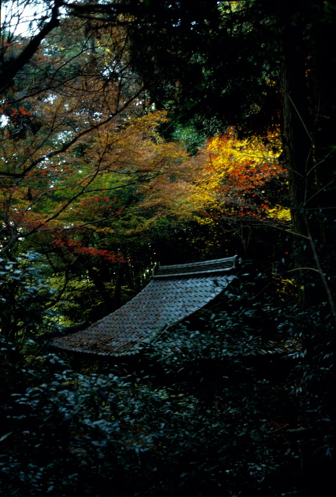 Kotoku-an, Kyoto, 12/2003