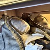 IMG_5330.jpeg
