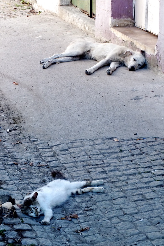 Ayvalik, 06/2013