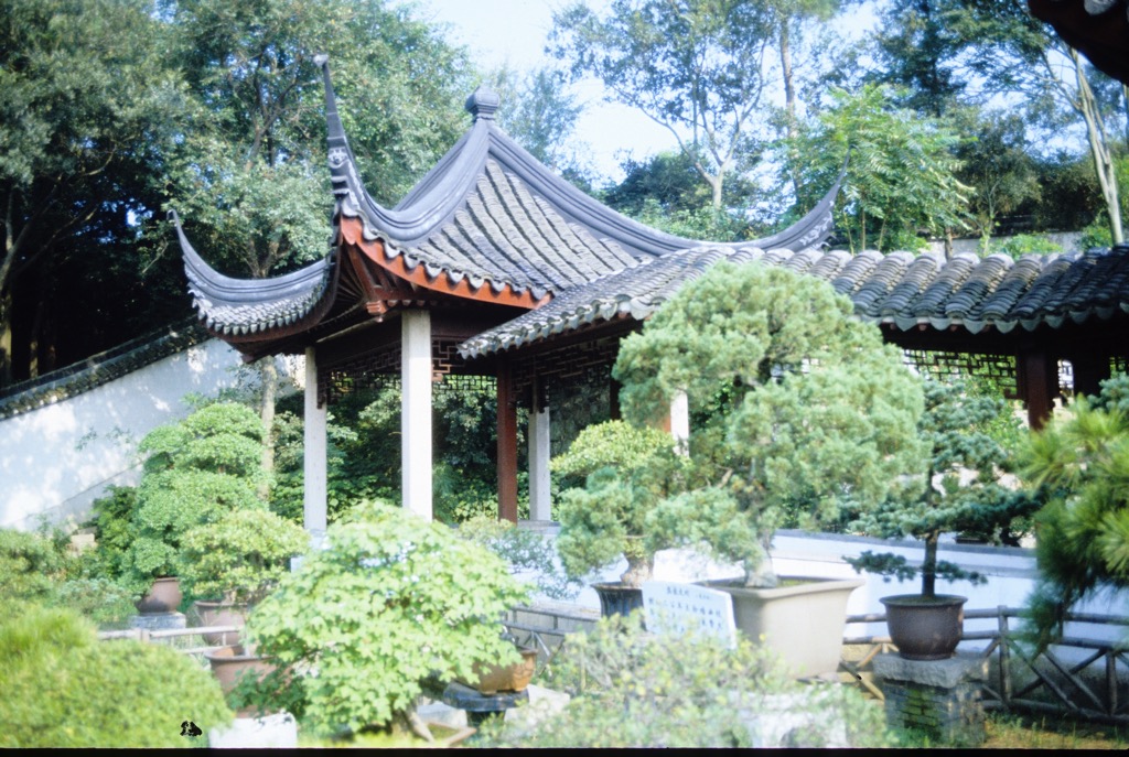 Bonsai garden, Suzhou, 08/1985