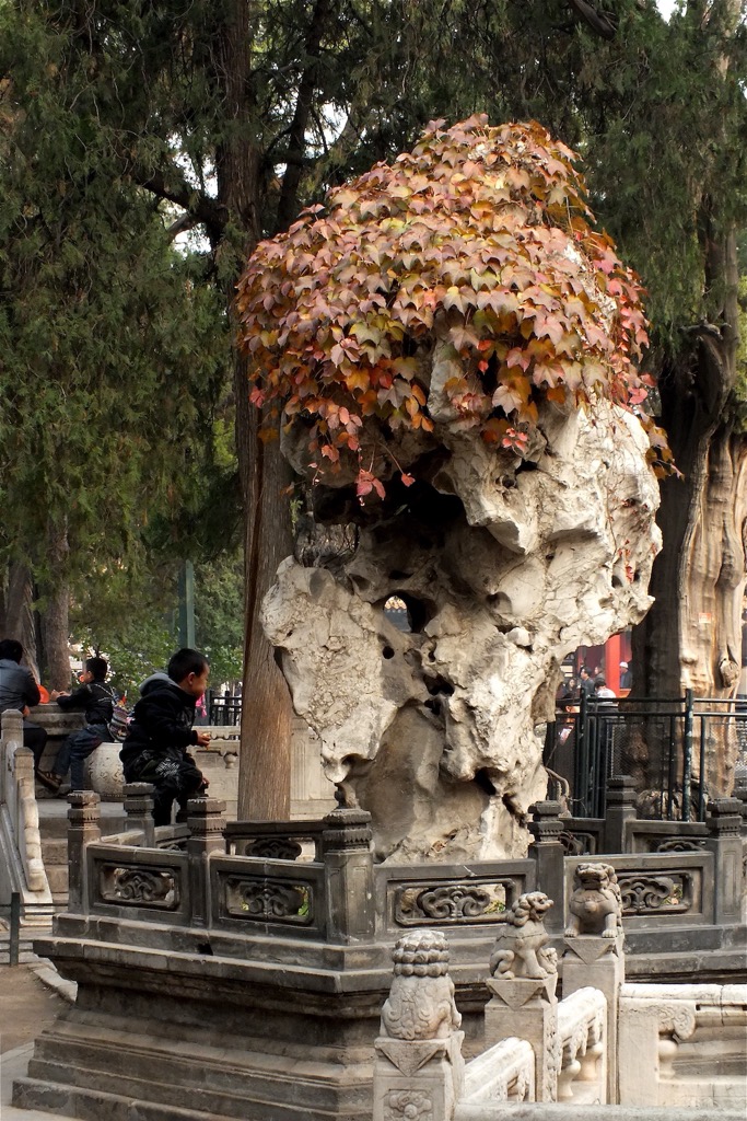 Citta' proibita, Beijing, 10/2011