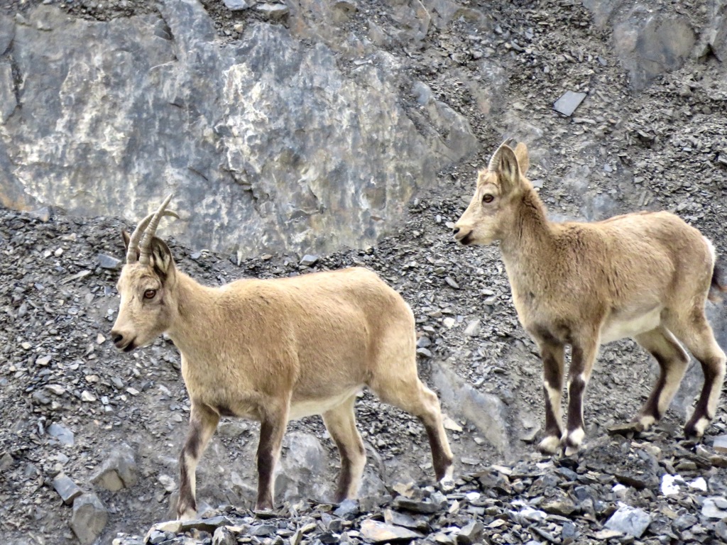 Karakoram highway, 10/2023