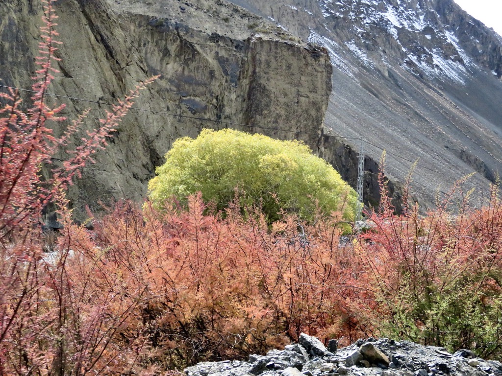 Karakoram highway, 10/2023