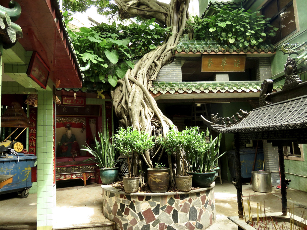 Zhulin temple, 09/2024