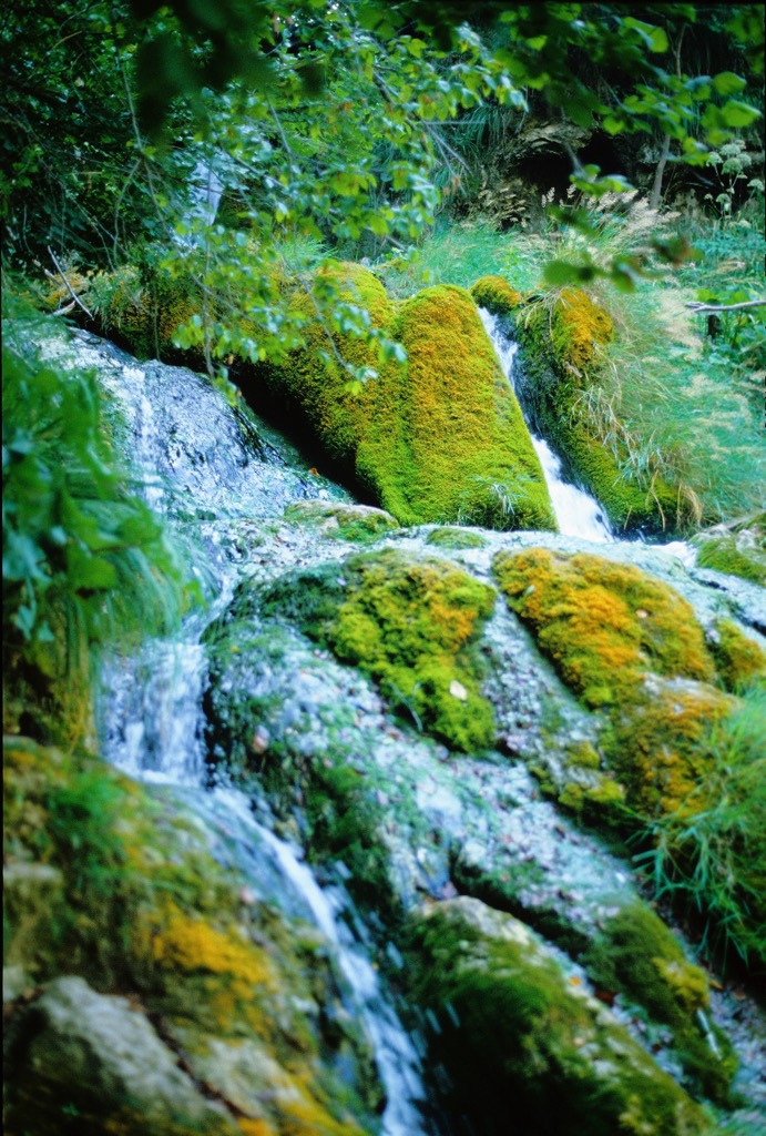 Plitvice, 08/1983