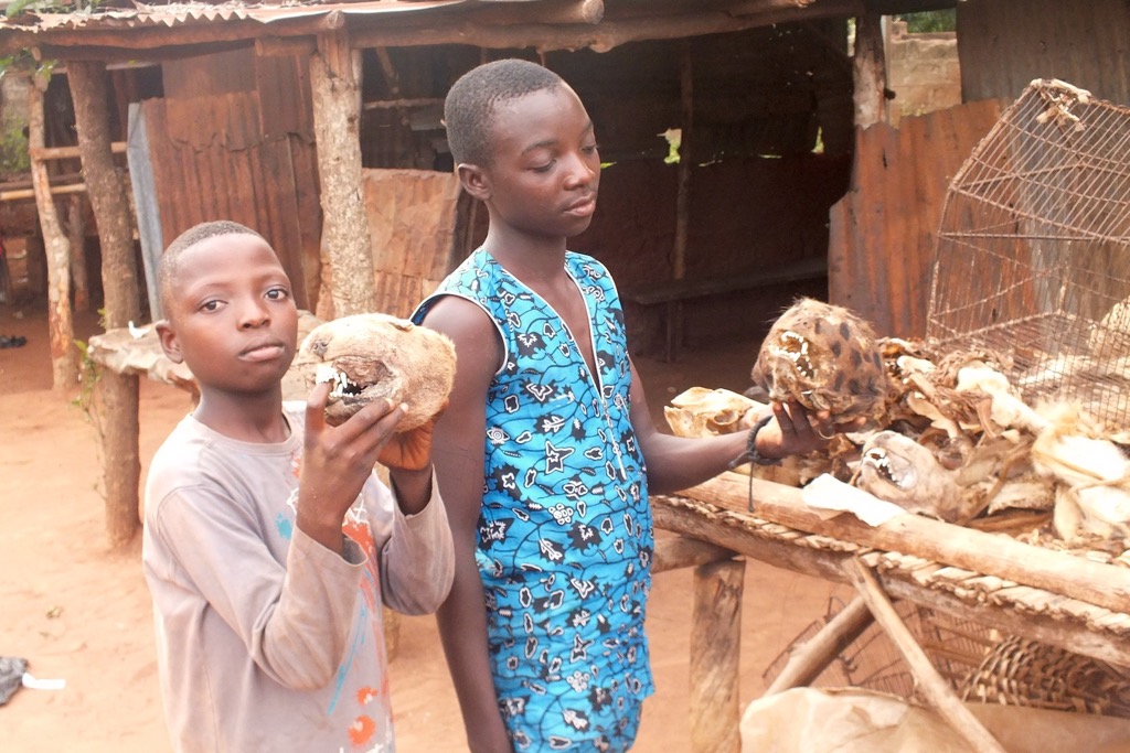 Fetish market, Abomey, 11/2015