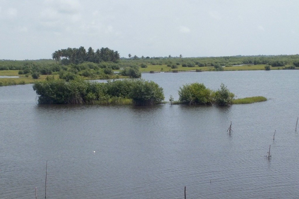 Lagune de Ouidah, 11/2015